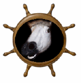 larry horse's picture